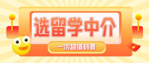 留學(xué)中介費(fèi)用解析 預(yù)算多少才夠，高性?xún)r(jià)比中介如何選擇？