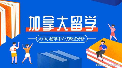加拿大留學(xué)申請(qǐng) 大中小留學(xué)中介的差別與自費(fèi)出國(guó)抉擇